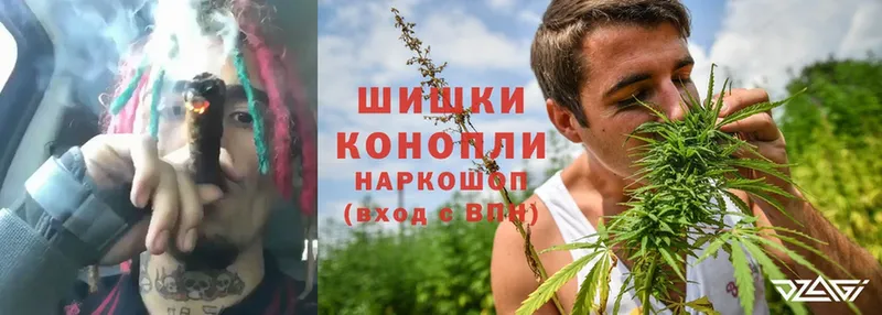 Бошки марихуана SATIVA & INDICA  где купить наркоту  Богданович 